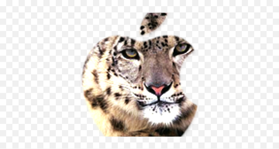 Snow Leopard Icon Png