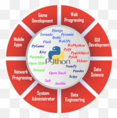 Python Training Chennai Best Institute - Alliance For Future Generations Fiji png