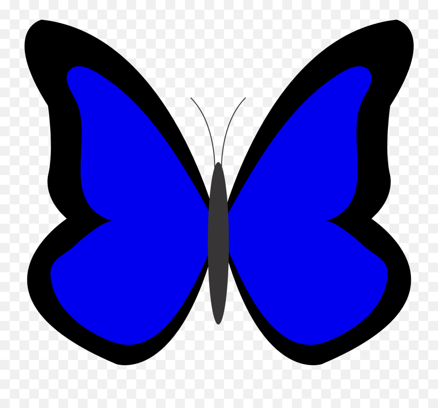 Butterfly Clipart Sky Blue Picture 312191 - Butterflies In Blue Colour Png,Blue Butterflies Png