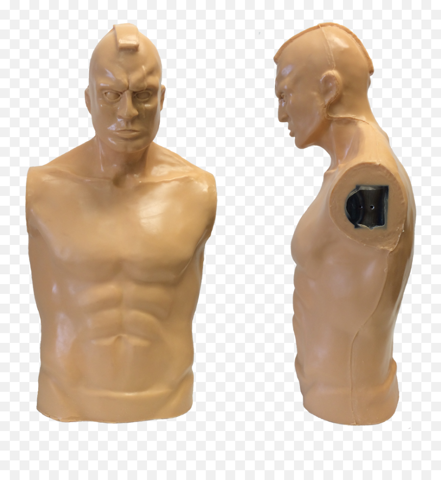 Download Hawk Torso - Upper Limb Png Image With No Bronze Sculpture,Torso Png