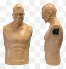 Download Hawk Torso - Upper Limb Png Image With No Bronze Sculpture,Torso Png