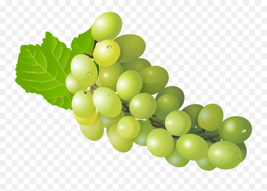 Grape Transparent Png Clipart Free - White Grape Png,Grapes Png