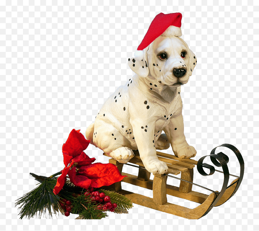 Christmas Dog - Stickpng Transparent Christmas Dog Clipart,Christmas Png Transparent