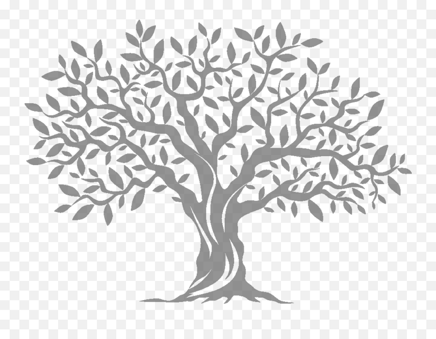 Transparent Olive Tree Silhouette - Silhouette Olive Tree Png,Olive Tree Png