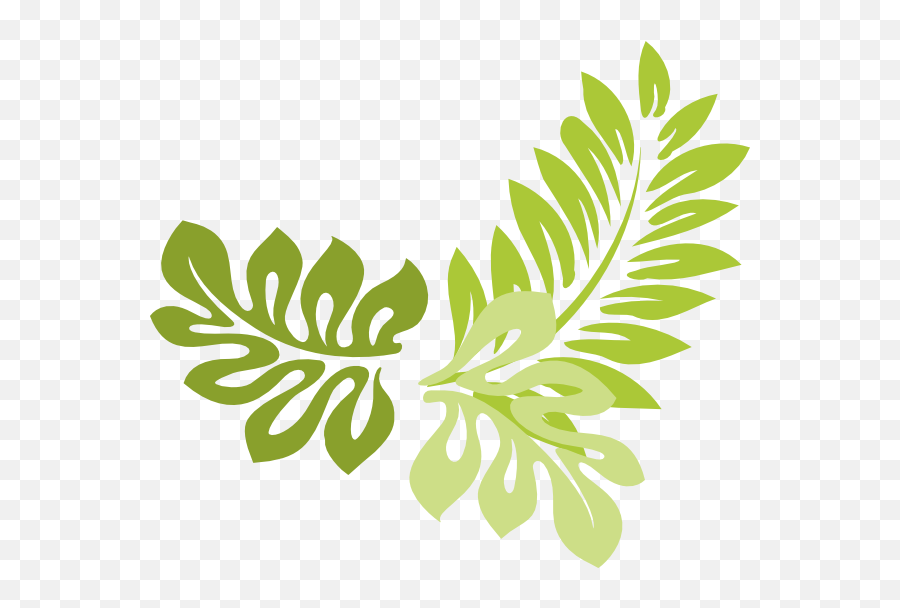Fern Clipart Compound Leaf Transparent - Transparent Jungle Leaves Clipart Png,Fern Png