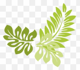 Fern Clipart Compound Leaf Transparent - Jungle Leaves Clipart png