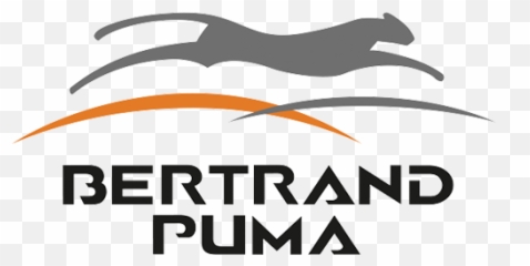 Bertrand - PUMA u2013 EBPE Graphic Design png
