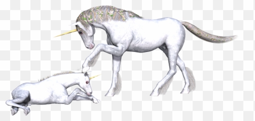 Unicorns Png