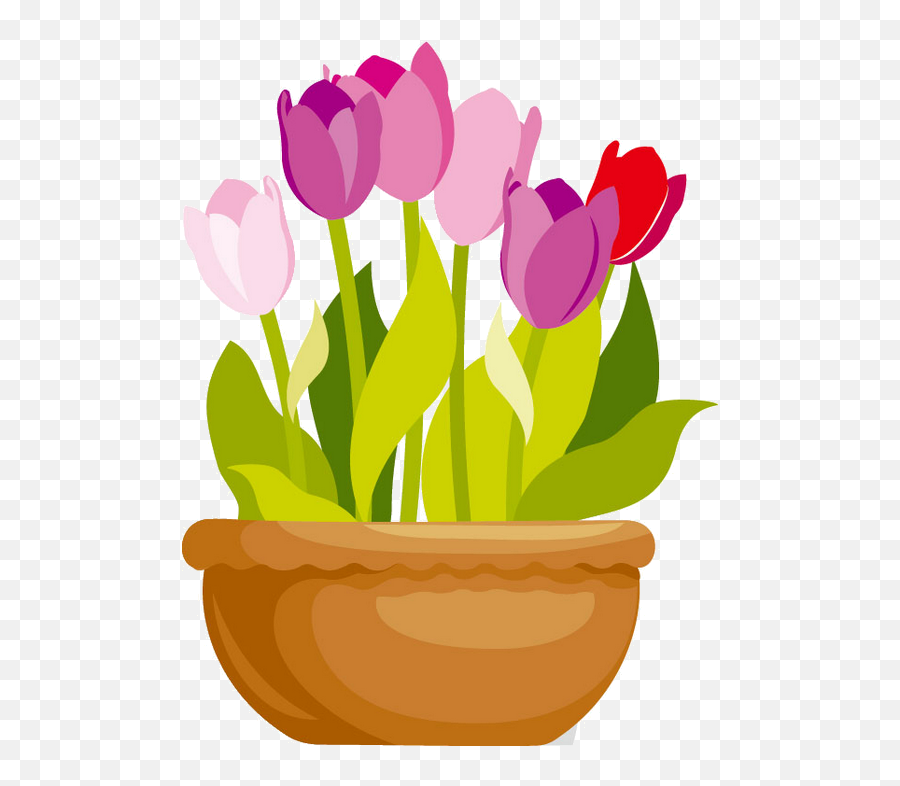 Vase Clipart Tulip Png Transparent Free For - Flower Pot Vector Png,Tulip Png