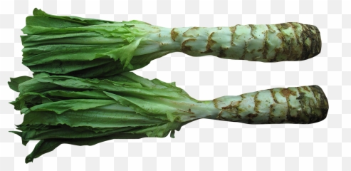 Celtuce Png Image Images - Celtuce Png,Lettuce Png