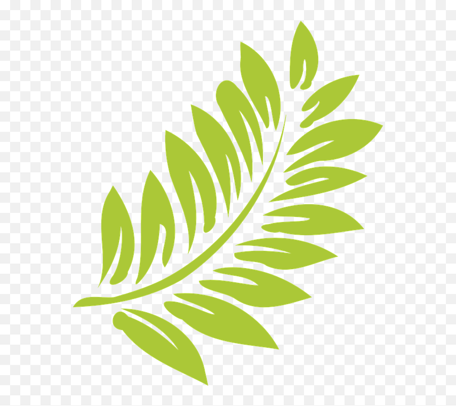 Leaf Green Light - Hibiscus Clip Art Png,Leaf Vector Png