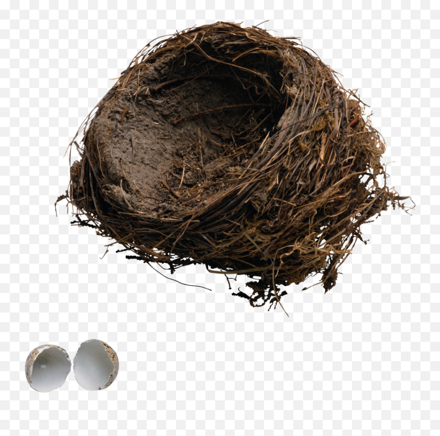 Nest Png 13 - Png 8755 Free Png Images Starpng Egg Break In A Nest,Bird Nest Png