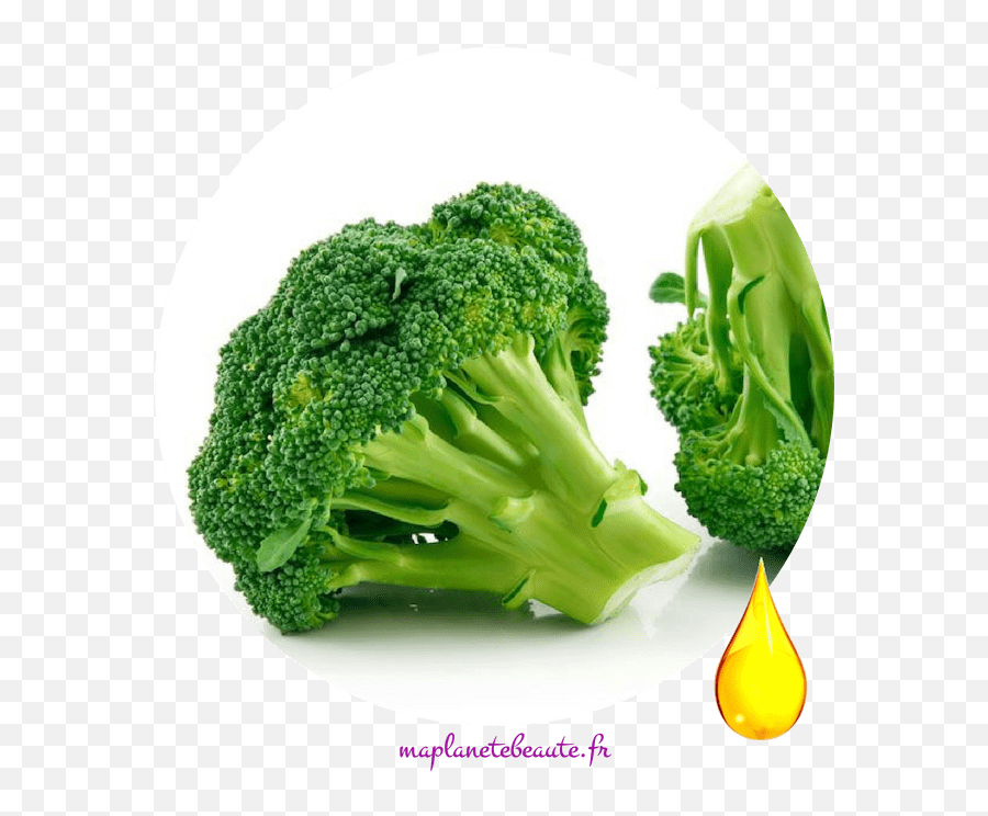 Huile De Brocoli Biologique - Bioflore Ma Planete Beaute Cooked Broccoli Png,Brocoli Png