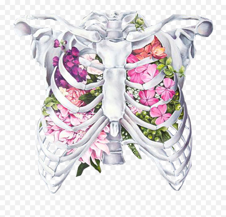 rib cage heart drawing clipart