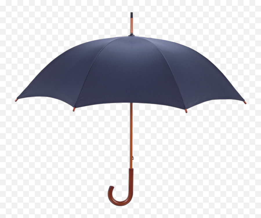 Umbrella Png Download Image With - Png,Umbrella Transparent Background