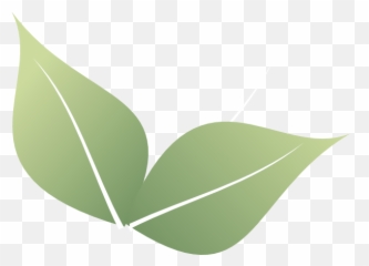 Two Leaf Clipart - 600x431 Png Download 2 Line Art