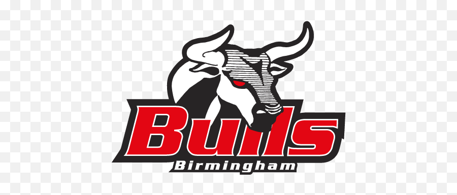 Riverkings Bested By Bulls 5 - 2 Pro Hockey News Birmingham Bulls American Football Png,Bulls Logo Png