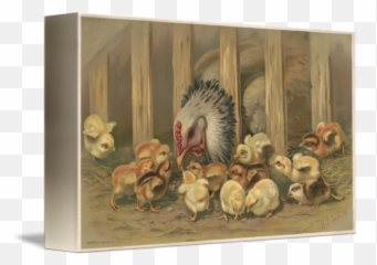 Vintage Chicken Baby Chicks Painting By Alleycatshirts Zazzle - Picture Frame Png,Baby Chick Png