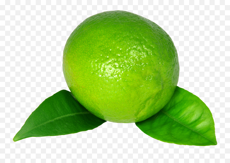 Lime Png Clipart - Green Lemon High Resolution,Lime Transparent Background