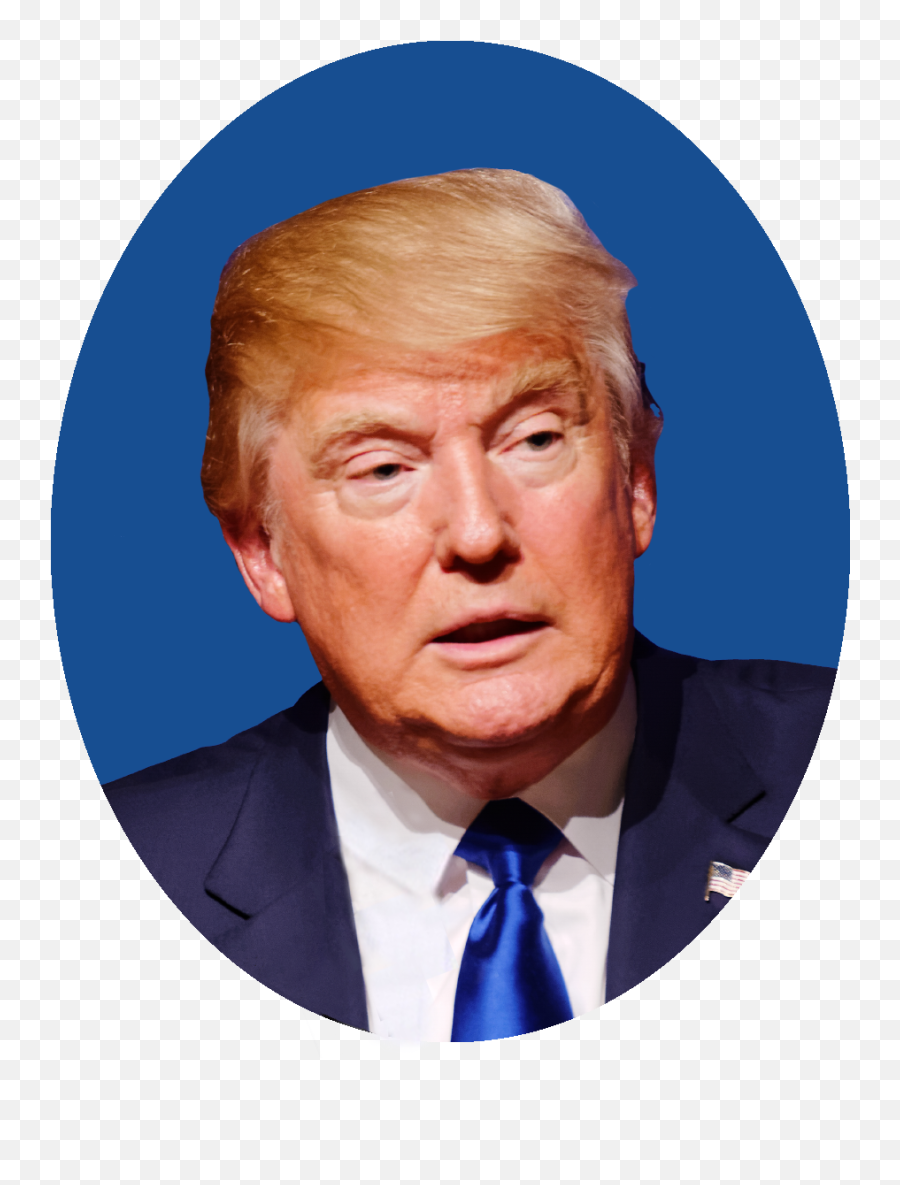 Donald Trump Face Circle - Donald Trump Images Download Png,Donald Trump Face Transparent