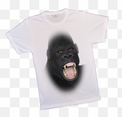 Big Animal Face T - Shirts 1799 Uk Big Animal Faces On Tshirts Monkey Png,Gray Shirt Png