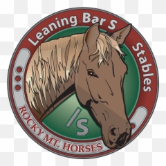 Horse Rider Logo Download - Logo Icon Png Svg Horse Supplies,Horse Rider Icon