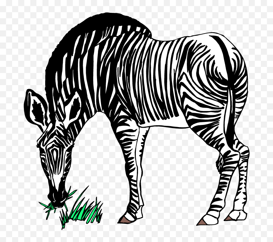 Zebra Png Images Transparent Background Play - Zebra Eating Grass Clipart,Grass Clipart Transparent