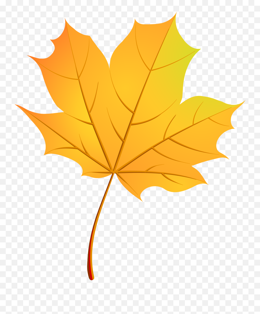 Clipart Leaves Maple Leaf - Fall Leaf Vector Png,Canada Maple Leaf Png
