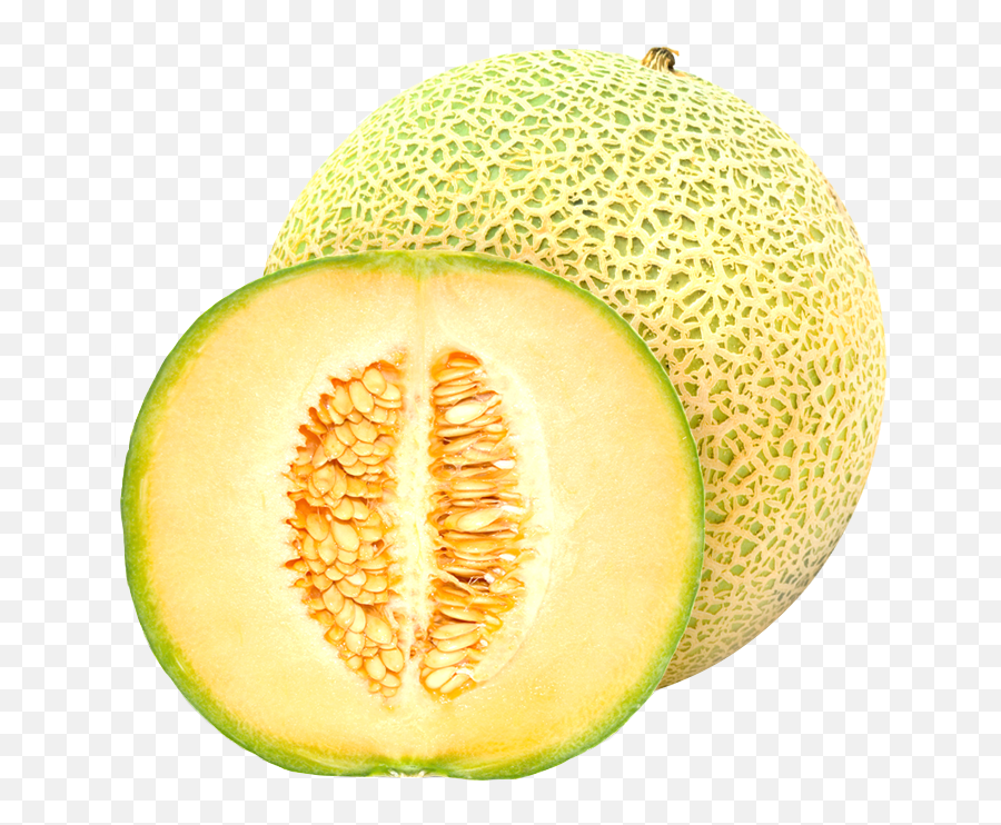 Download Cantaloupe Melon Fruit - Australia Rock Melon Png,Cantaloupe Png