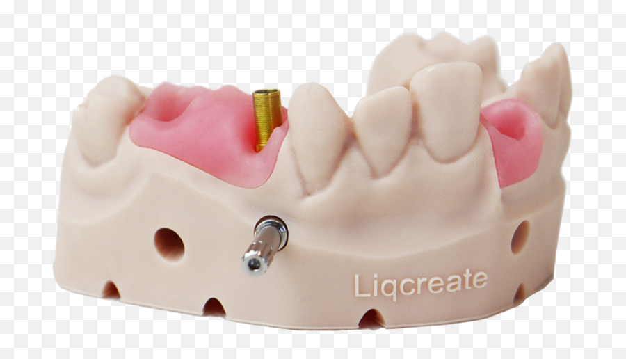 Gingiva Mask Dental 3d - Printing Resin For Gumlike Model Thermoplastic Png,Icon Dental Unfilled Resin