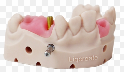 Gingiva Mask Dental 3d - printing resin for gumlike model Thermoplastic png