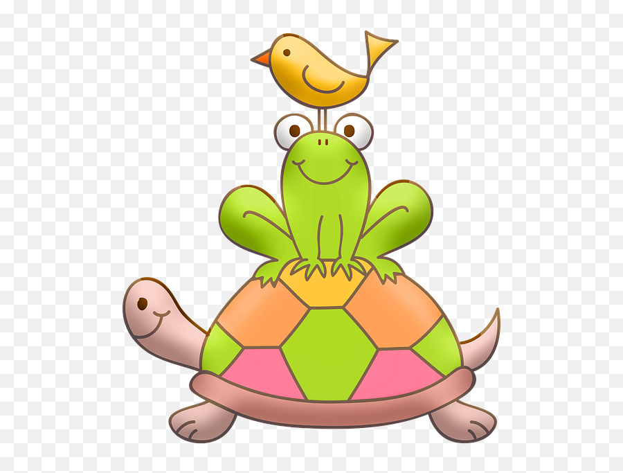 Turtle Frog Bird - Turtles Png,Cute Turtle Png