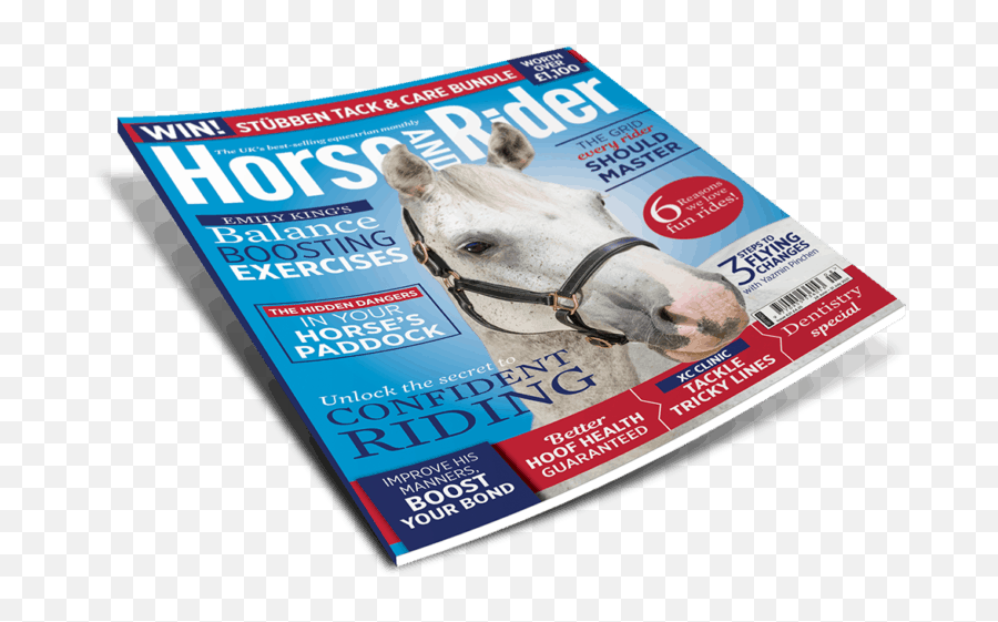 Horse U0026 Rider Magazine Uk Issues Equestrian And - Halter Png,Fashion Icon Magazine August