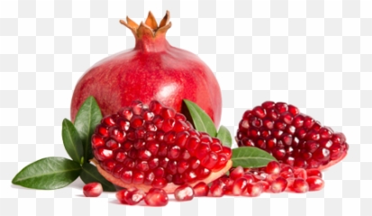 Pomegranate Nutruit Süpergda Sanayi A - Roma Fruto Png,Pomegranate Transparent