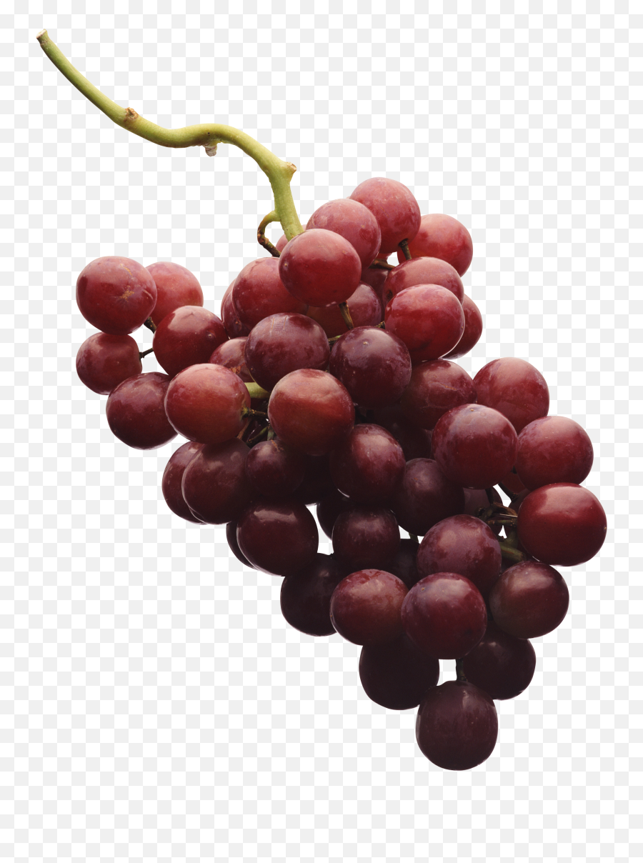 Red Grapes Png Image For Free Download - Grape Png,Grapes Png