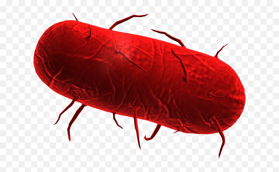 Download Plague Inc Bacteria - Plague Inc Bacteria Png,Bacteria Transparent Background