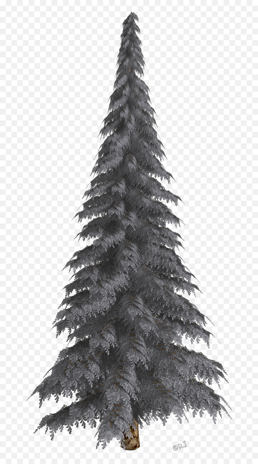 Download Winter Trees Christmas - Christmas Tree Png,Winter Tree Png