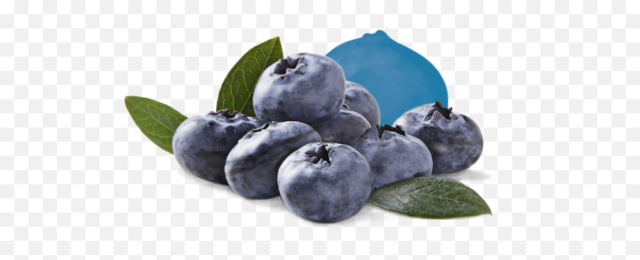 Fresh Berries Driscollu0027s - Bilberry Png,Blueberries Png
