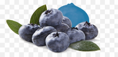 Fresh Berries Driscollu0027s - Bilberry Png,Blueberries Png