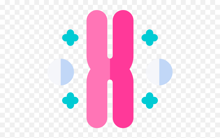 Chromosome - Chromosome Icon Png,Chromosome Png