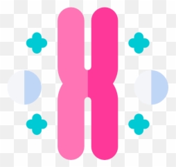 Chromosome - Icon png