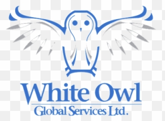 White - Bird Of Prey Png,Owl Logo
