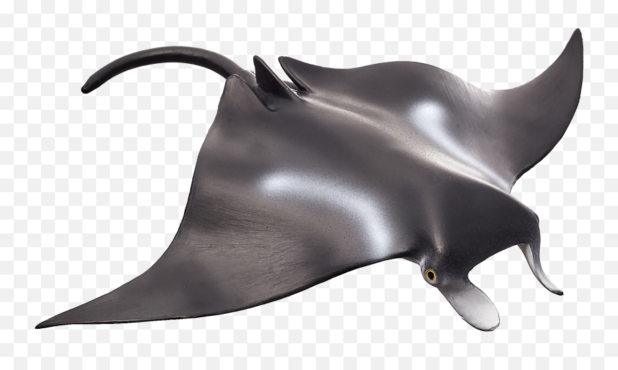 Download Manta Ray Png - Manta Ray In Png,Manta Ray Png