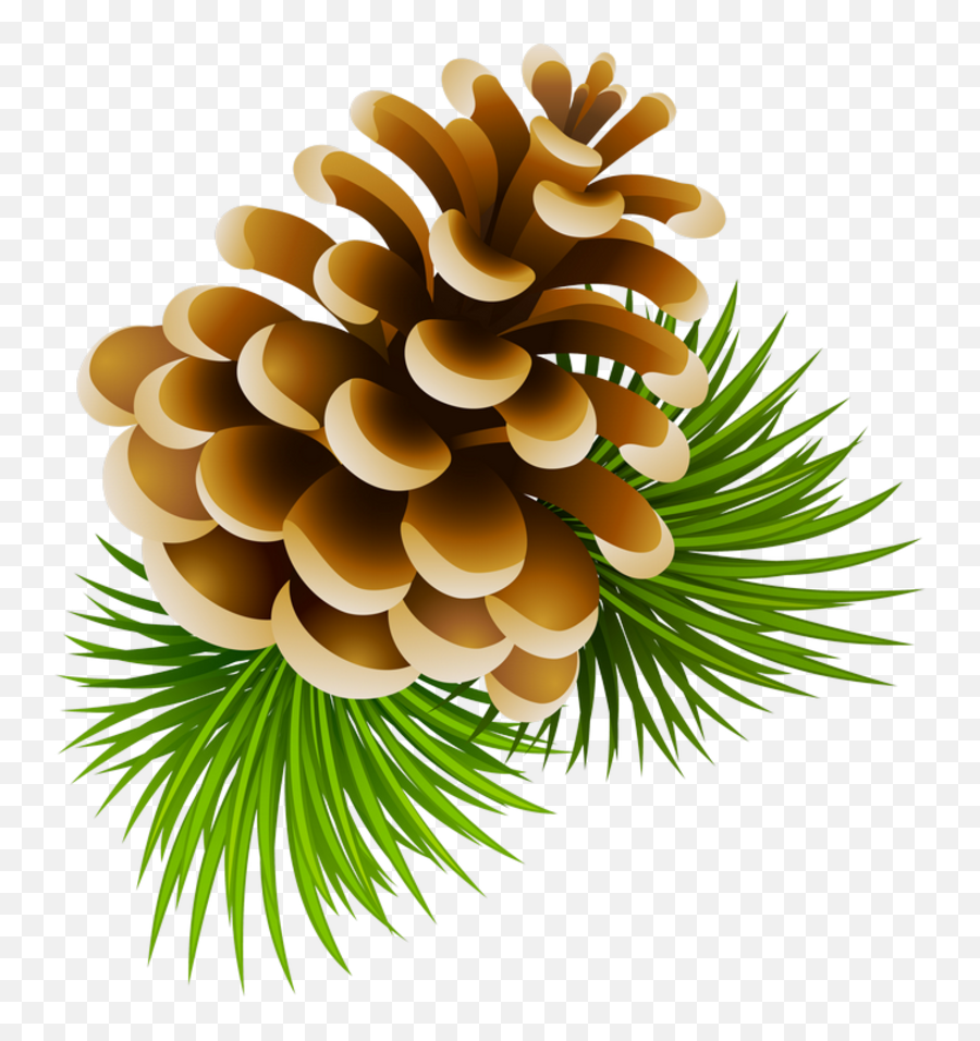 Download Pine Cone Clipart Png Image With No Background - Pine Cone Clip Art,Pine Cone Png