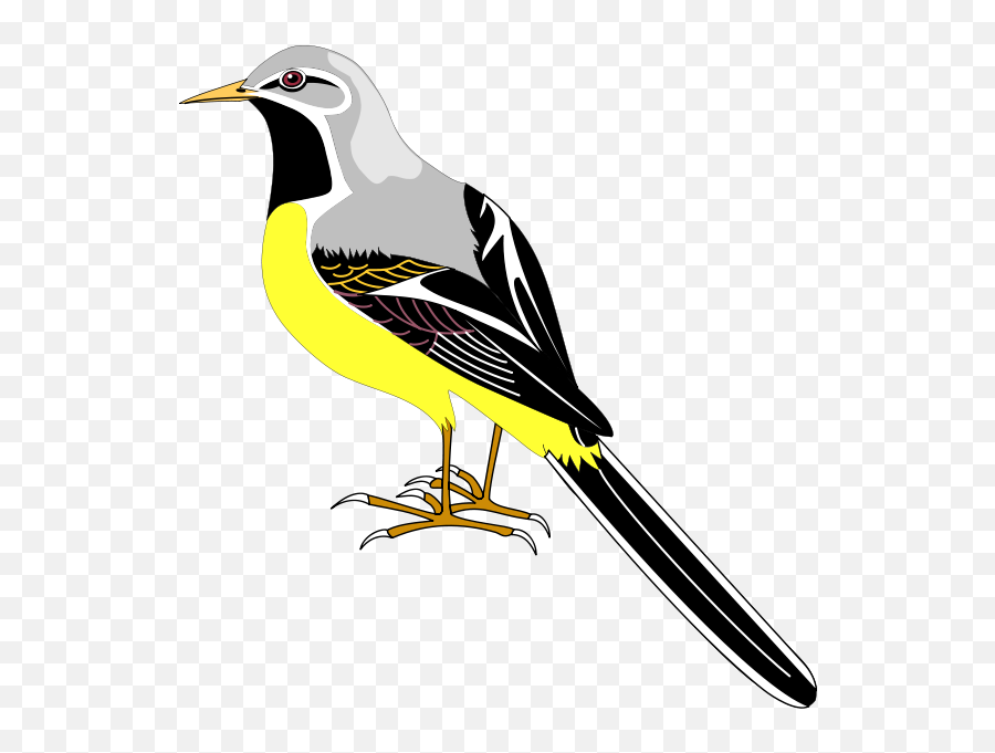 Cartoon Sparrow Png Clipart - Full Size Clipart 522251 Gambar Motif Dekoratif Burung Pipit,Jack Sparrow Png