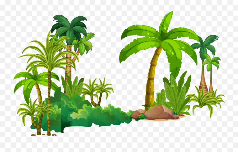 Download Tree Tropical Rainforest - Tropical Rainforest Trees Cartoon Png,Rainforest Png