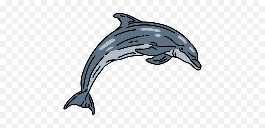 Transparent Png Svg Vector File - Wholphin,Dolphin Transparent