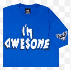 Wwe Fan Club Shop - Wwe Fan Club M Awesome The Miz Png,The Miz Png