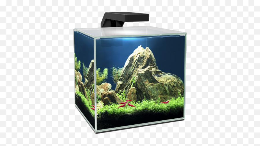 Ciano Aquarium - Aquarium Nano Cube Png,Aquarium Png