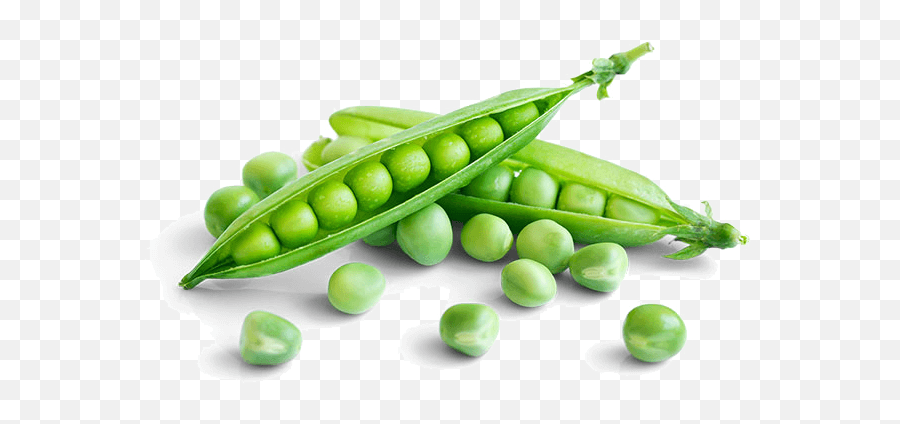Green Giant Canada Eat More Veggies - Green Piece Vegetable Png,Veggies Png